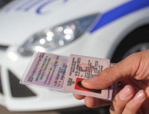 ������������ �������������